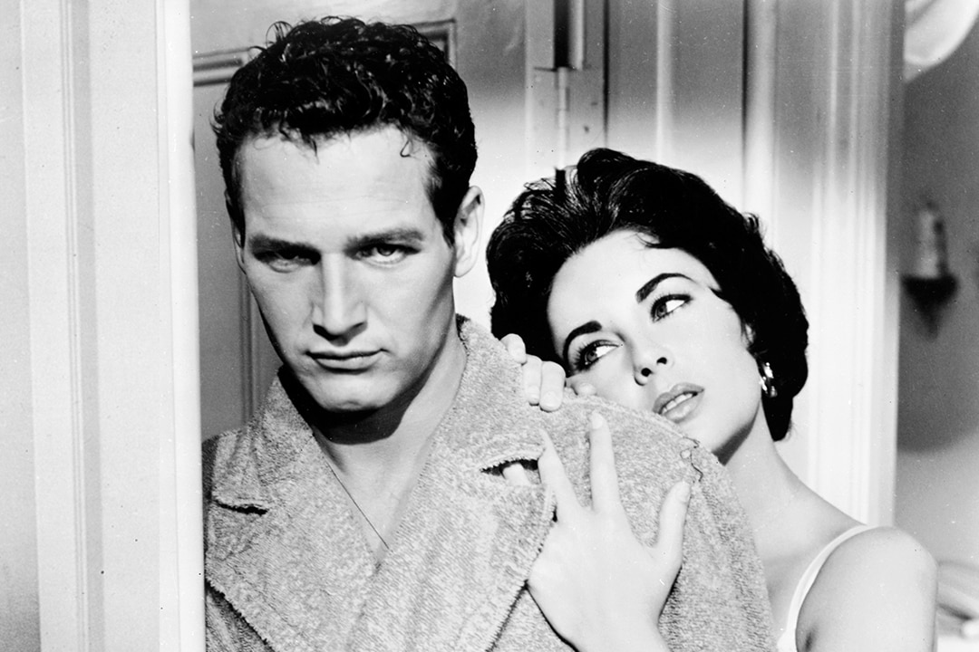 Cat on a Hot Tin Roof 1080x720