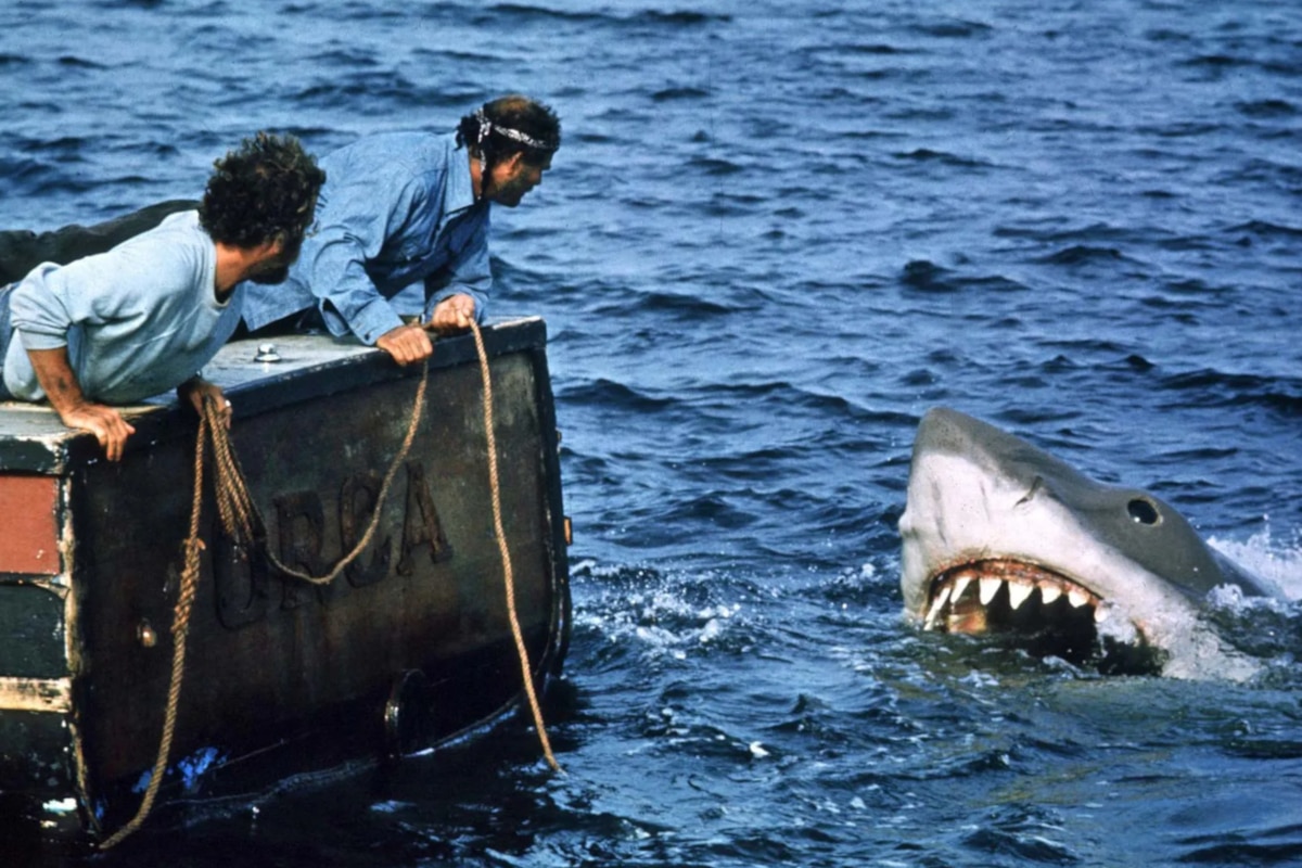 Jaws - Shark